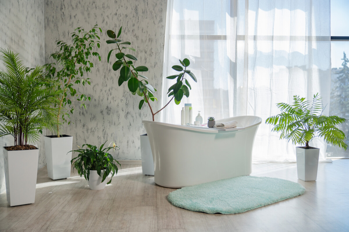 Modern bathroom with freestanding bathtub and houseplants.